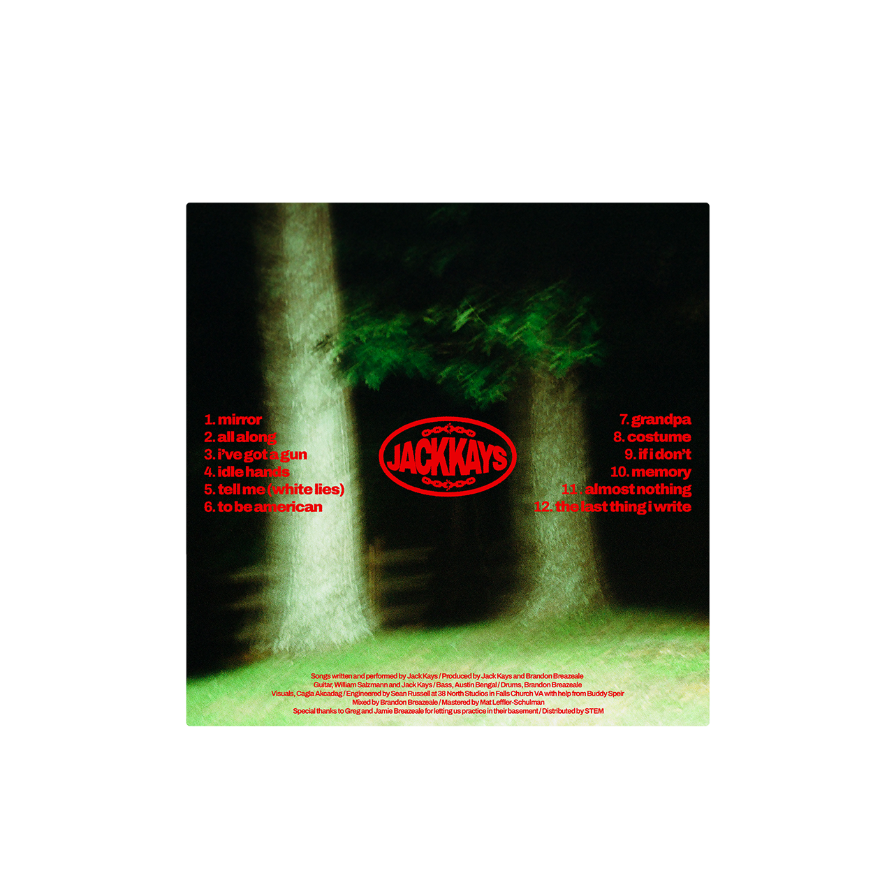 (PRE-ORDER) Call It What You Want - Vinyl