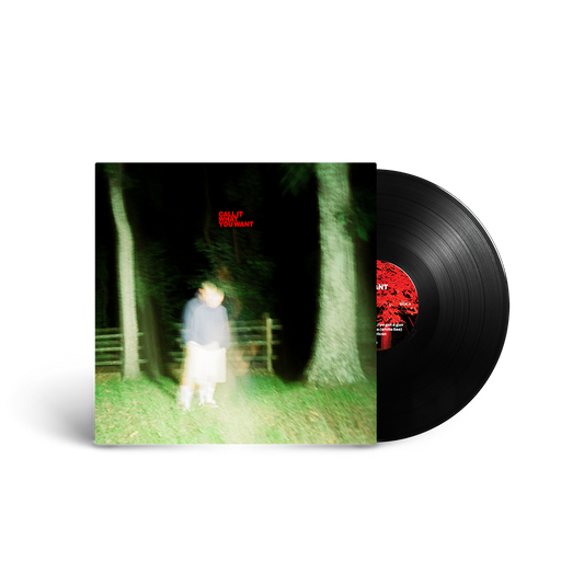 (PRE-ORDER) Call It What You Want - Vinyl