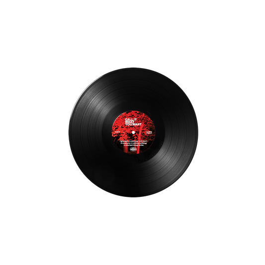 (PRE-ORDER) Call It What You Want - Vinyl